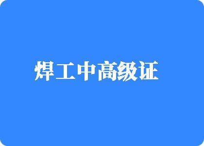 日逼高潮爽死了视频焊工中高级证